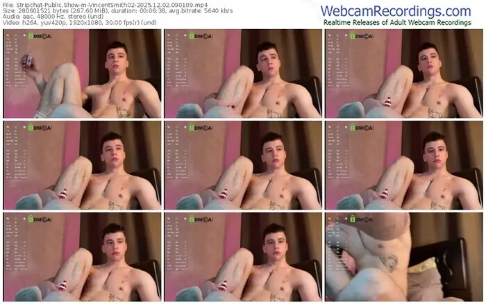 stripchat-vincentsmith02-12-02-2025-09-01-09