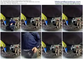 stripchat-sarpe4-12-02-2025-15-26-14