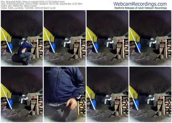 stripchat-sarpe4-12-02-2025-15-26-14