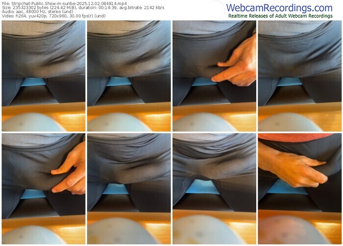 stripchat-sunbe-12-02-2025-08-48-14