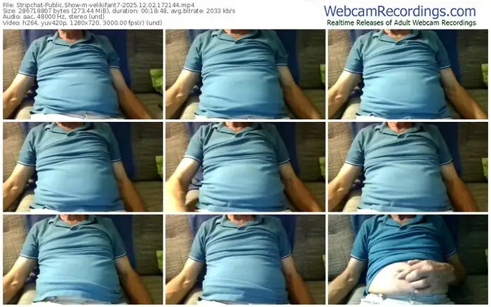 stripchat-velikifant7-12-02-2025-17-21-44