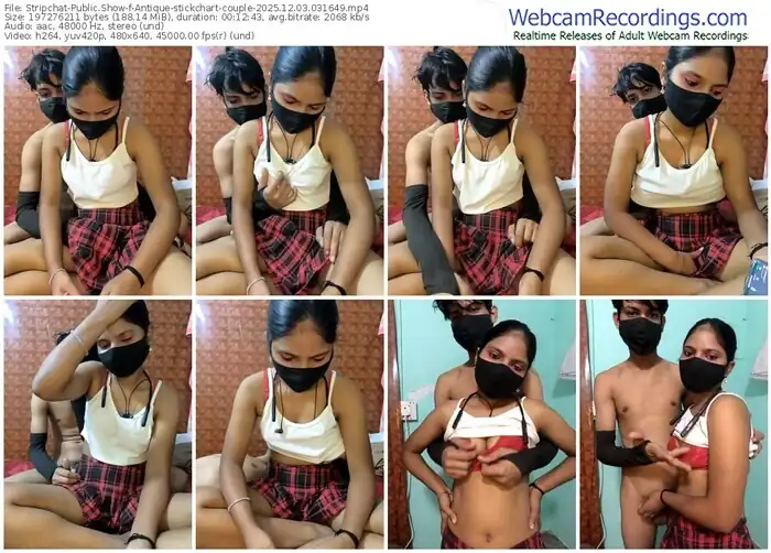 stripchat-antique-stickchart-couple-12-03-2025-03-16-49
