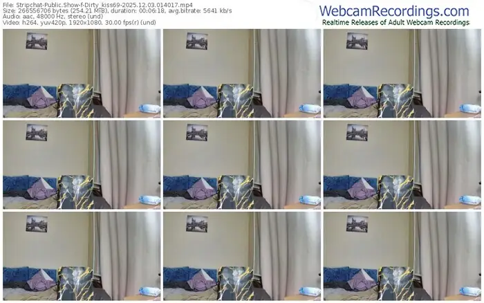 stripchat-dirty_kiss69-12-03-2025-01-40-17