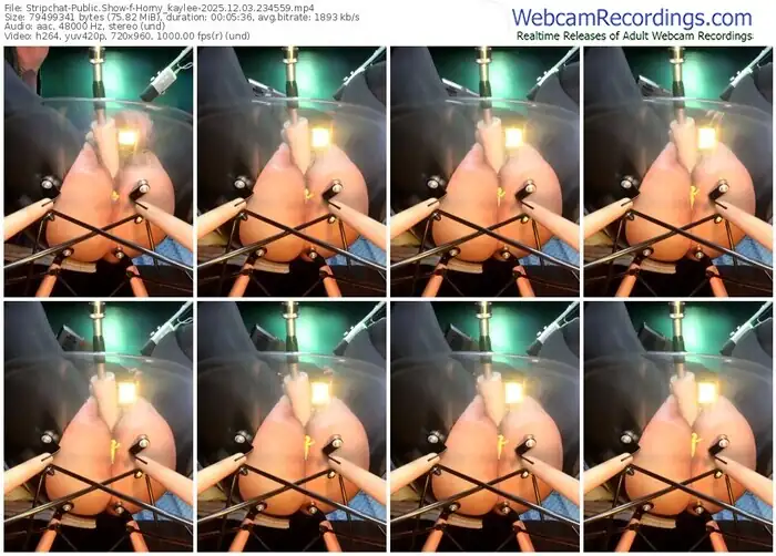 stripchat-horny_kaylee-12-03-2025-23-45-59