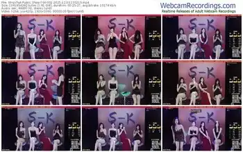 stripchat-sk-001-12-03-2025-15-52-19