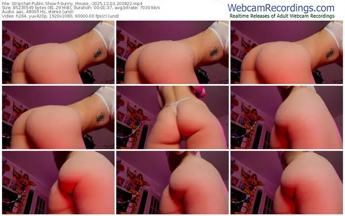 stripchat-sunny_mouse_-12-03-2025-20-08-22