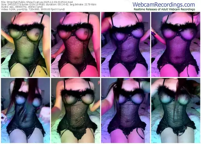 stripchat-cat-ya-12-03-2025-01-35-14