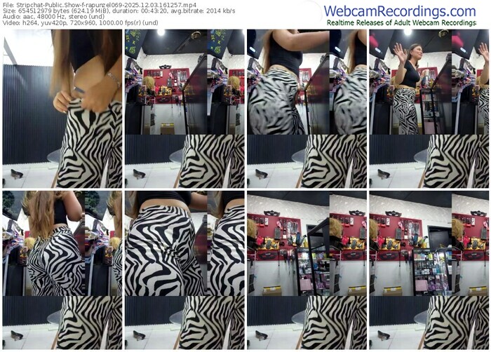 stripchat-rapunzel069-12-03-2025-16-12-57