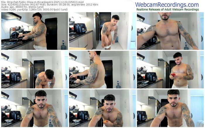 stripchat-ricardogo19-12-03-2025-02-56-13