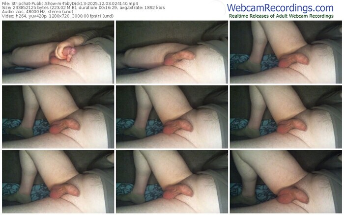 stripchat-tobydick13-12-03-2025-02-41-40