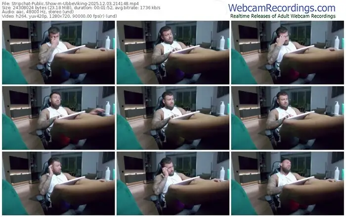 stripchat-ubbeviking-12-03-2025-21-41-48