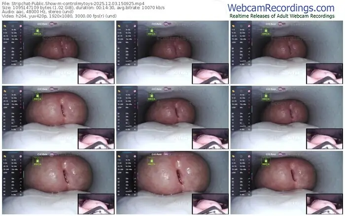 stripchat-controlmytoys-12-03-2025-15-09-25