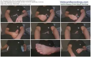 stripchat-userre08-12-03-2025-00-29-03