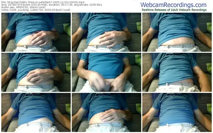 stripchat-velikifant7-12-03-2025-14-33-32