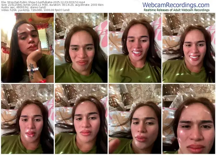stripchat-lustfulkatie-12-03-2025-00-31-52