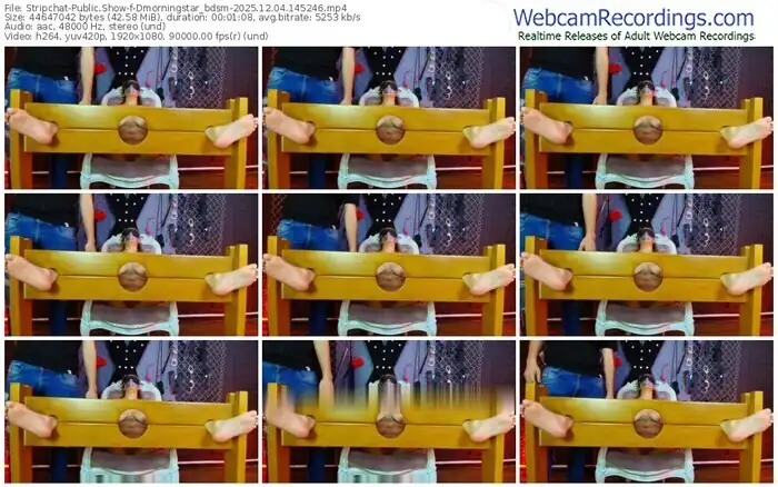 stripchat-dmorningstar_bdsm-12-04-2025-14-52-46