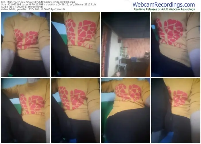 stripchat-kryhitka-12-04-2025-07-35-04