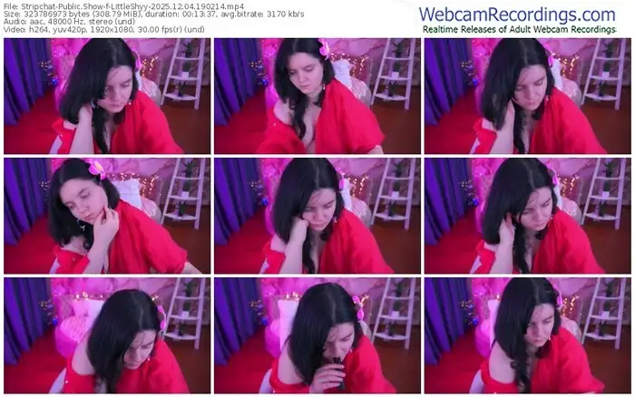 stripchat-littleshyy-12-04-2025-19-02-14