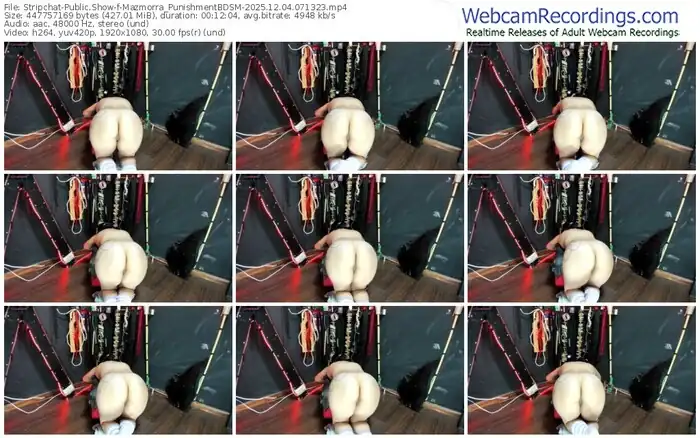 stripchat-mazmorra_punishmentbdsm-12-04-2025-07-13-23