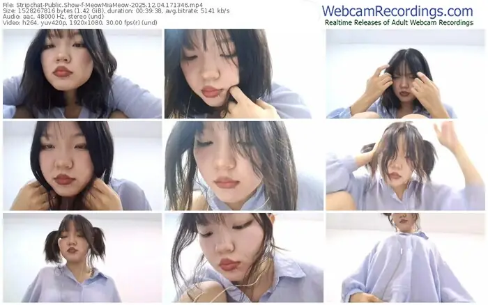 stripchat-meowmiameow-12-04-2025-17-13-46