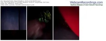 stripchat-miiafoxxx-12-04-2025-06-44-59