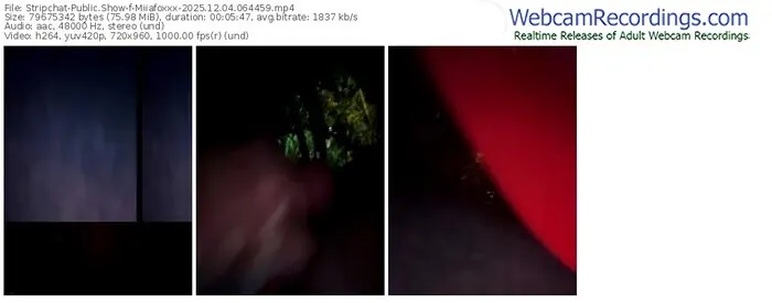 stripchat-miiafoxxx-12-04-2025-06-44-59
