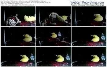 stripchat-splash_queen420-12-04-2025-11-25-12