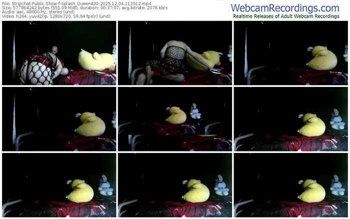 stripchat-splash_queen420-12-04-2025-11-25-12