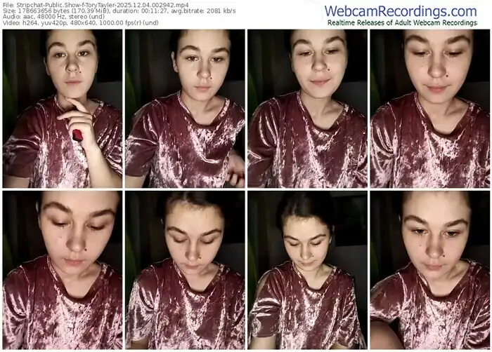 stripchat-torytayler-12-04-2025-00-29-42