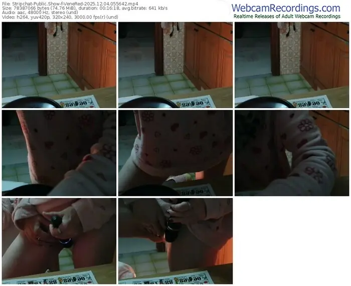 stripchat-venered-12-04-2025-05-56-42