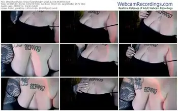 stripchat-zarareignn-12-04-2025-05-33-59