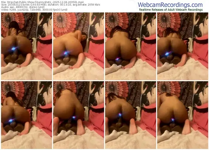stripchat-bunnyshots_-12-04-2025-20-35-01