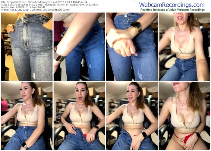 stripchat-didihairypussy-12-04-2025-14-07-45