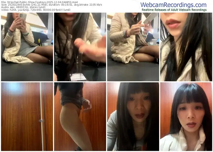 stripchat-petoys-12-04-2025-04-48-53