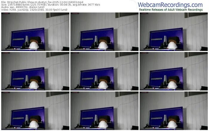 stripchat-dustyn_fox-12-04-2025-19-43-03