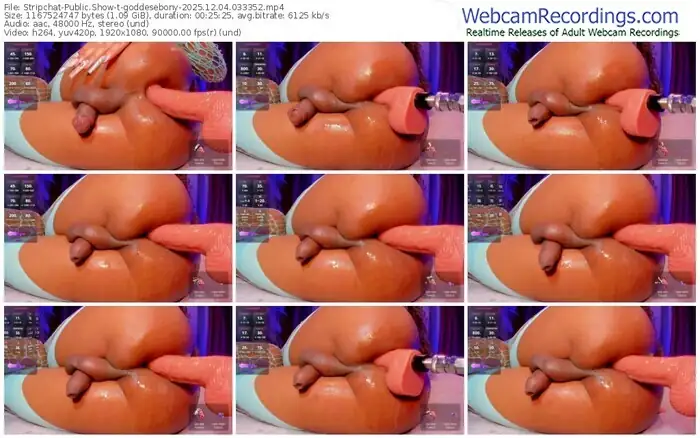 stripchat-goddesebony-12-04-2025-03-33-52