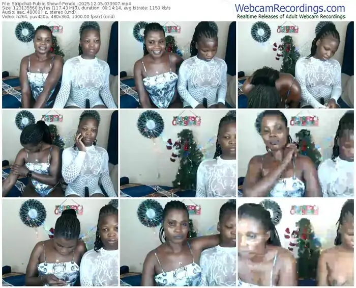 stripchat-pendo_-12-05-2025-03-39-07