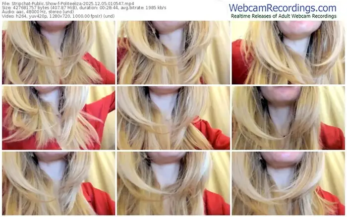 stripchat-politeeliza-12-05-2025-01-05-47