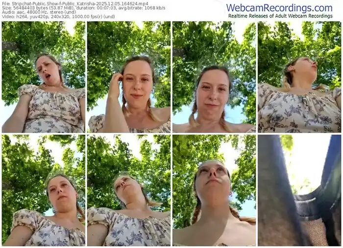 stripchat-public_katrisha-12-05-2025-16-46-24