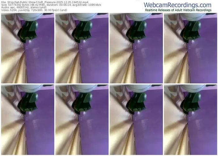 stripchat-soft_pleasure-12-05-2025-19-45-32