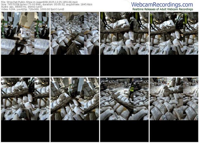 stripchat-jaaan668-12-05-2025-18-51-48