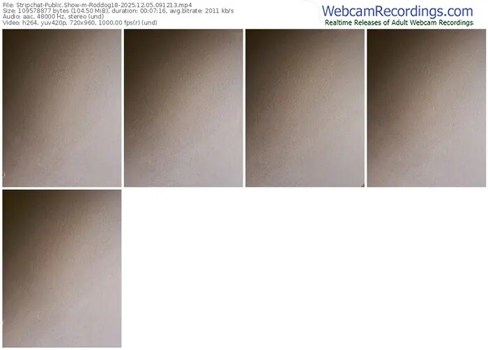 stripchat-roddog18-12-05-2025-09-12-13