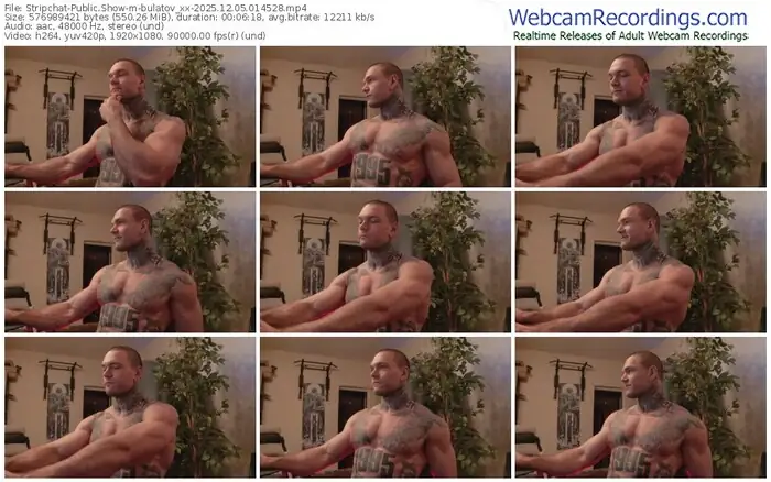 stripchat-bulatov_xx-12-05-2025-01-45-28