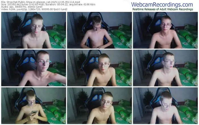 stripchat-glasses_cat-12-05-2025-05-11-14