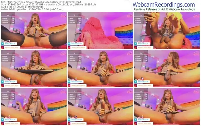 stripchat-dakotarosee-12-05-2025-03-38-36