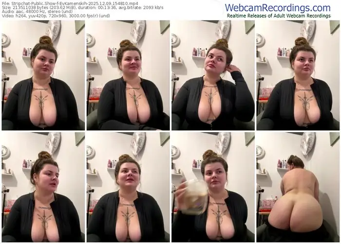 stripchat-evkamenskih-12-09-2025-15-48-10