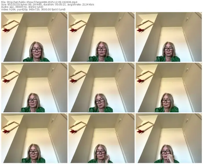 stripchat-fargo488-12-09-2025-19-26-36