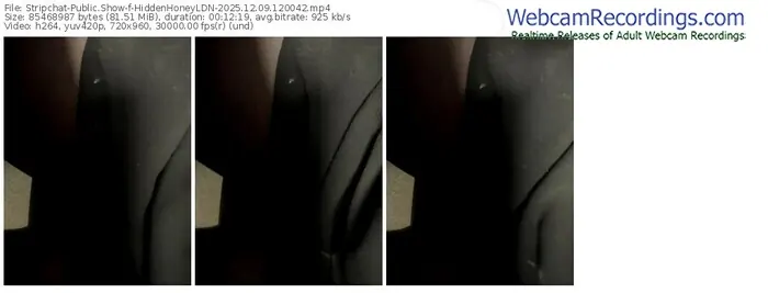 stripchat-hiddenhoneyldn-12-09-2025-12-00-42