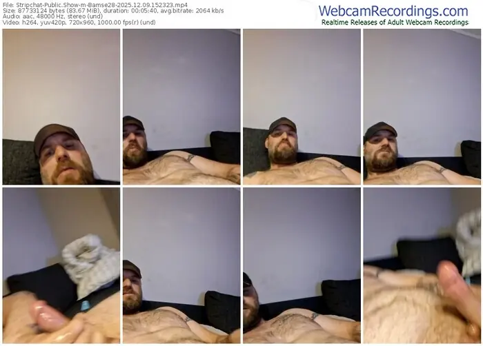 stripchat-bamse28-12-09-2025-15-23-23