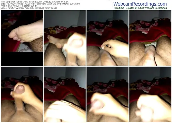 stripchat-amin20cm-12-09-2025-23-46-37